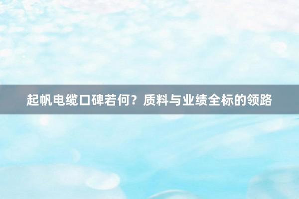 起帆电缆口碑若何？质料与业绩全标的领路